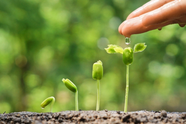 hand gently watering young plant depicting Renewable Bioheat® Fuel